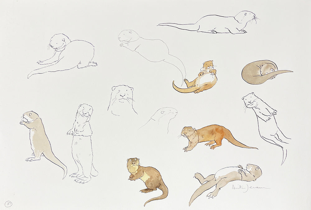 Otter Collective