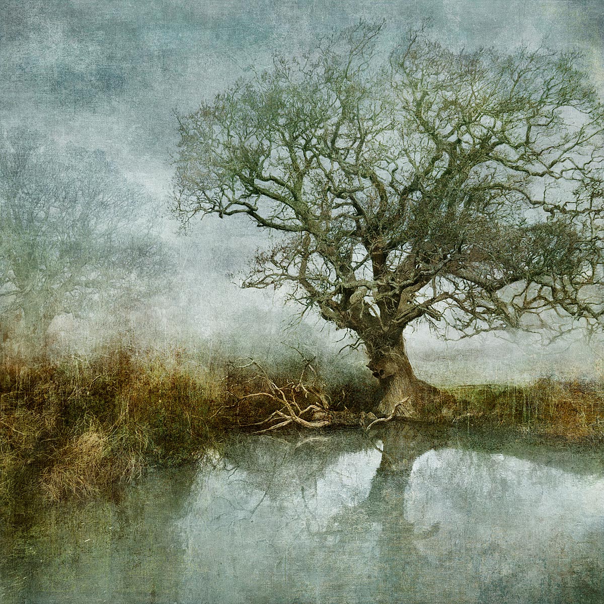 MMP 126 - N50.9167 W0.0397