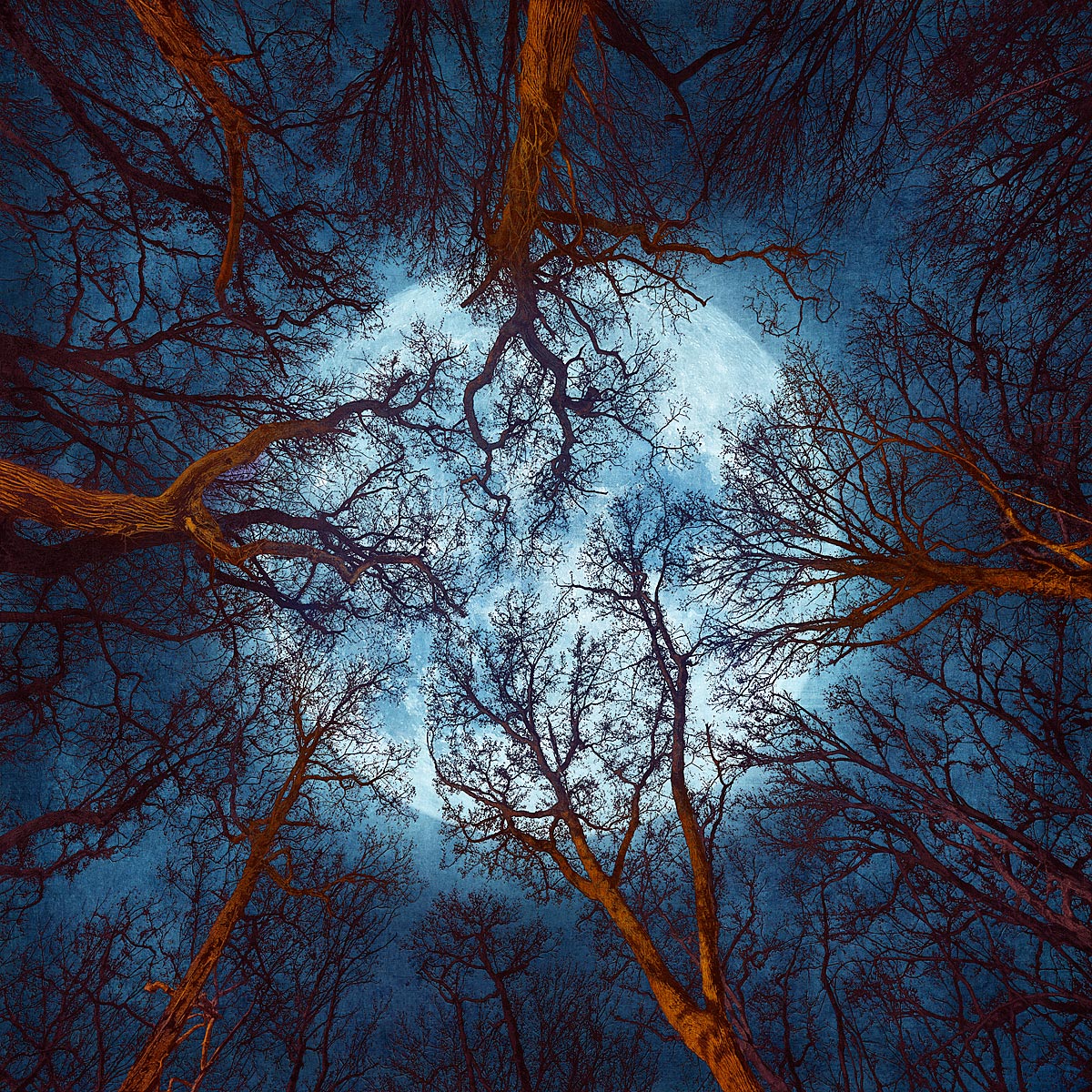 MMP 197 - N50.9756 E0.1182