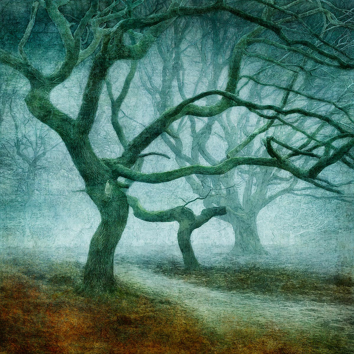 MMP 161 - N53.7826 W1.6860