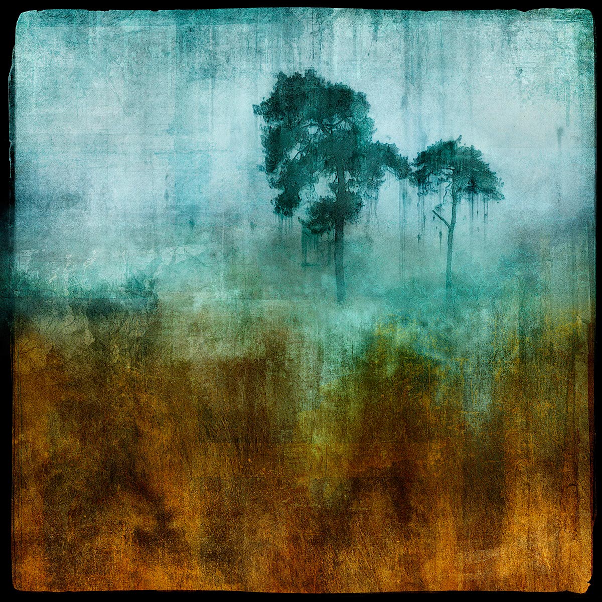 MMP 011 - N51.0469 E0.1134