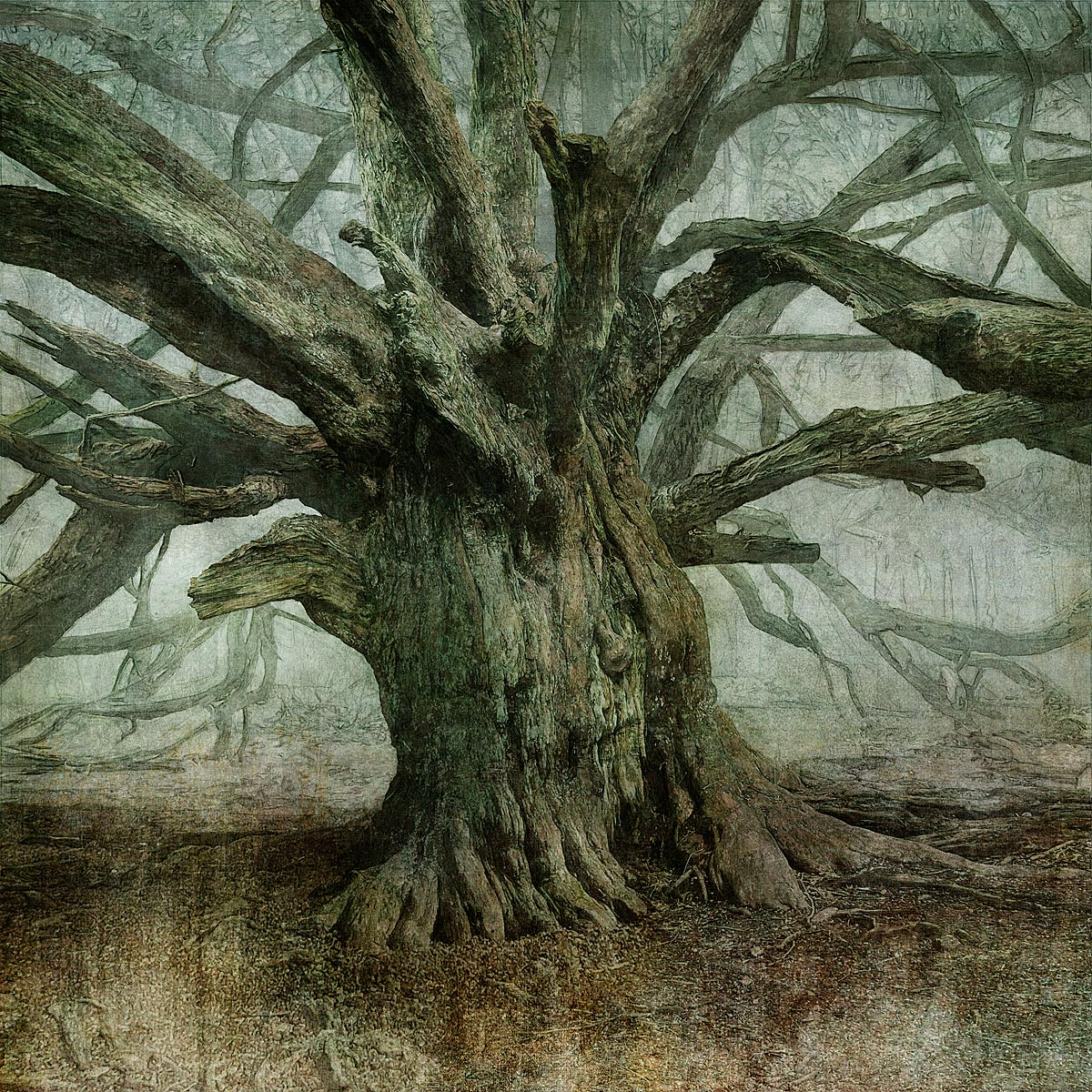 MMP 158 - N50.8874 W0.8320