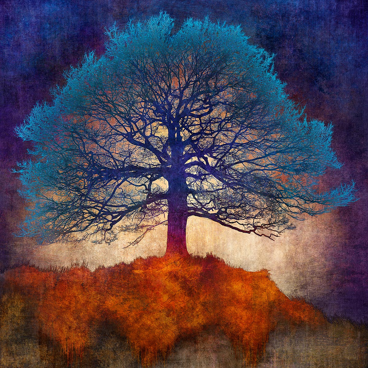 MMP 138 - N51.2605 E0.0718