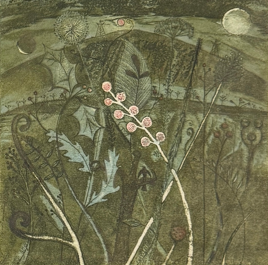 Phases of the Moon 19/30