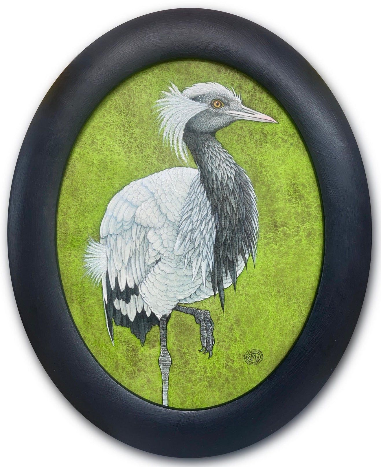 Demoiselle Crane