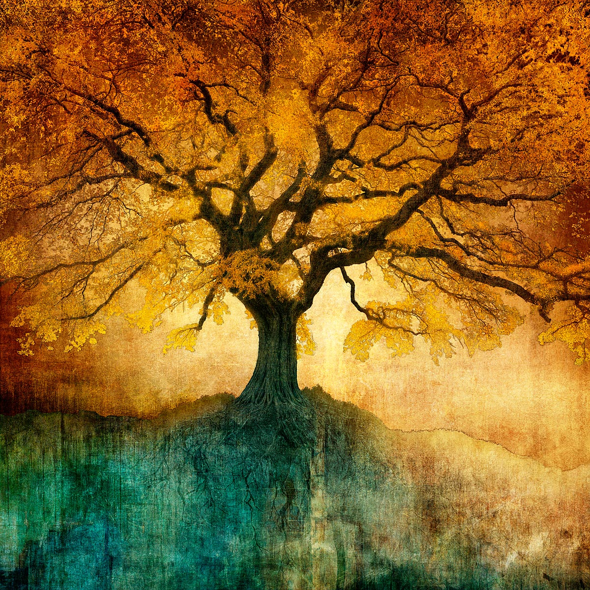 MMP 196 - N52.5643 W1.8340