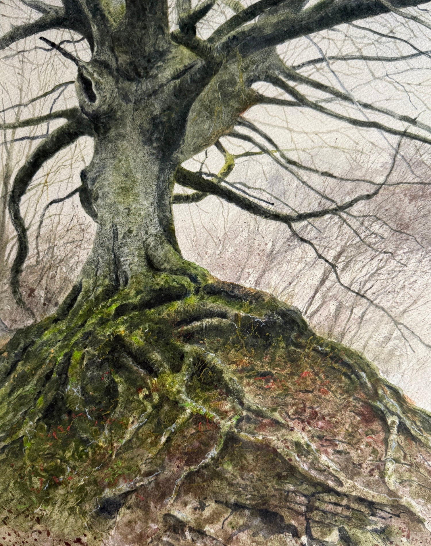 Beech Tree, Didling