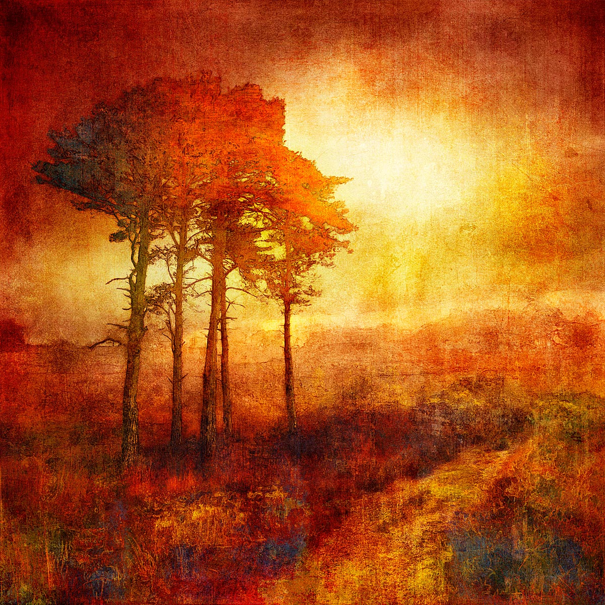 MMP 112 - N51.0526 E0.0904