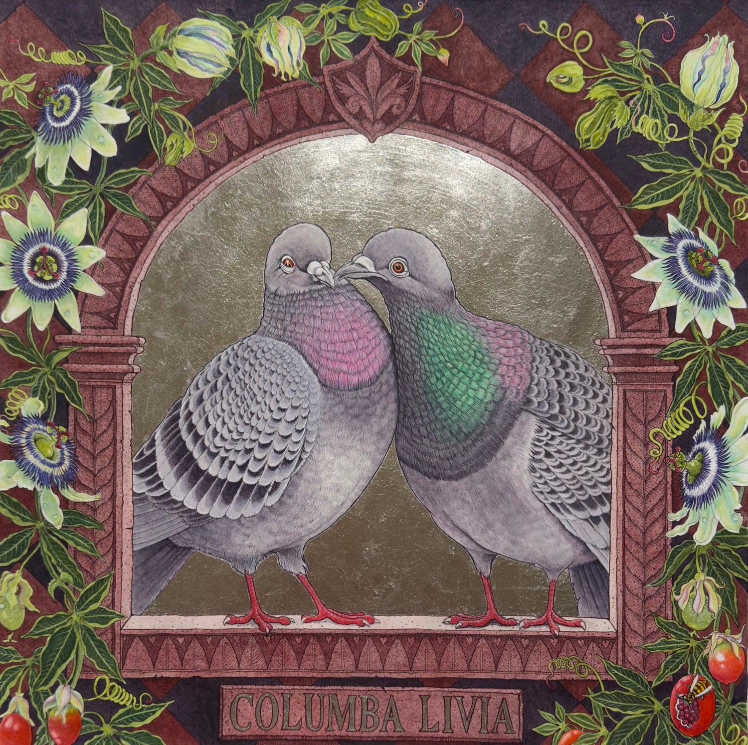 Columba Livia 1/50