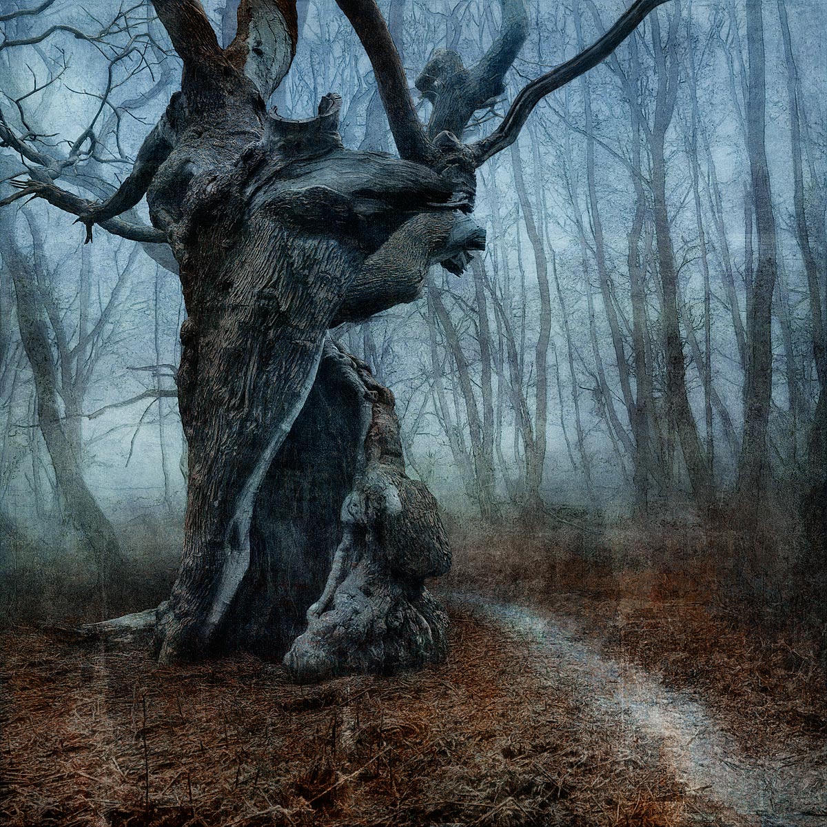 MMP 189 - N50.8743 E0.3413