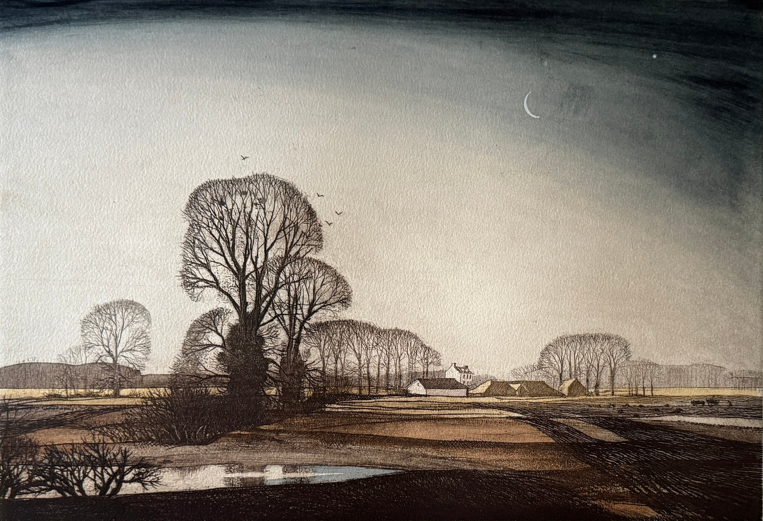 Evening Star - Etching