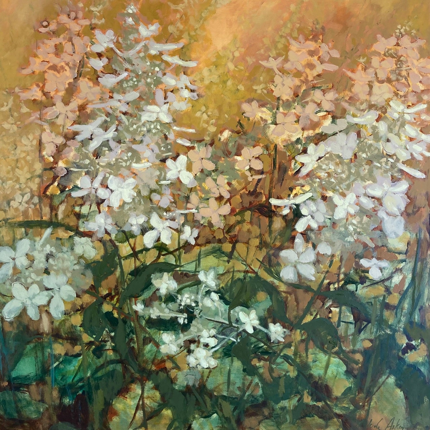Evening Sun