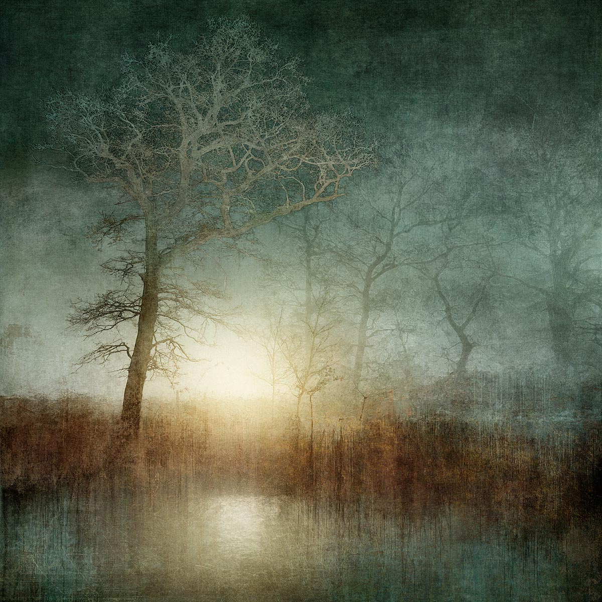 MMP 191 - N50.9781 E0.1220