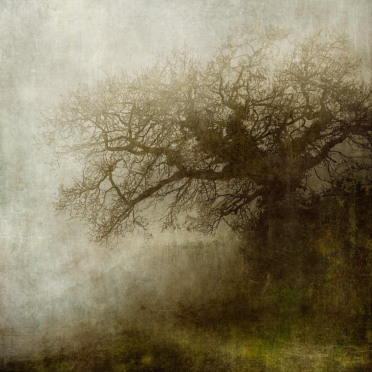 MMP 107 - N50.9629 E0.0858