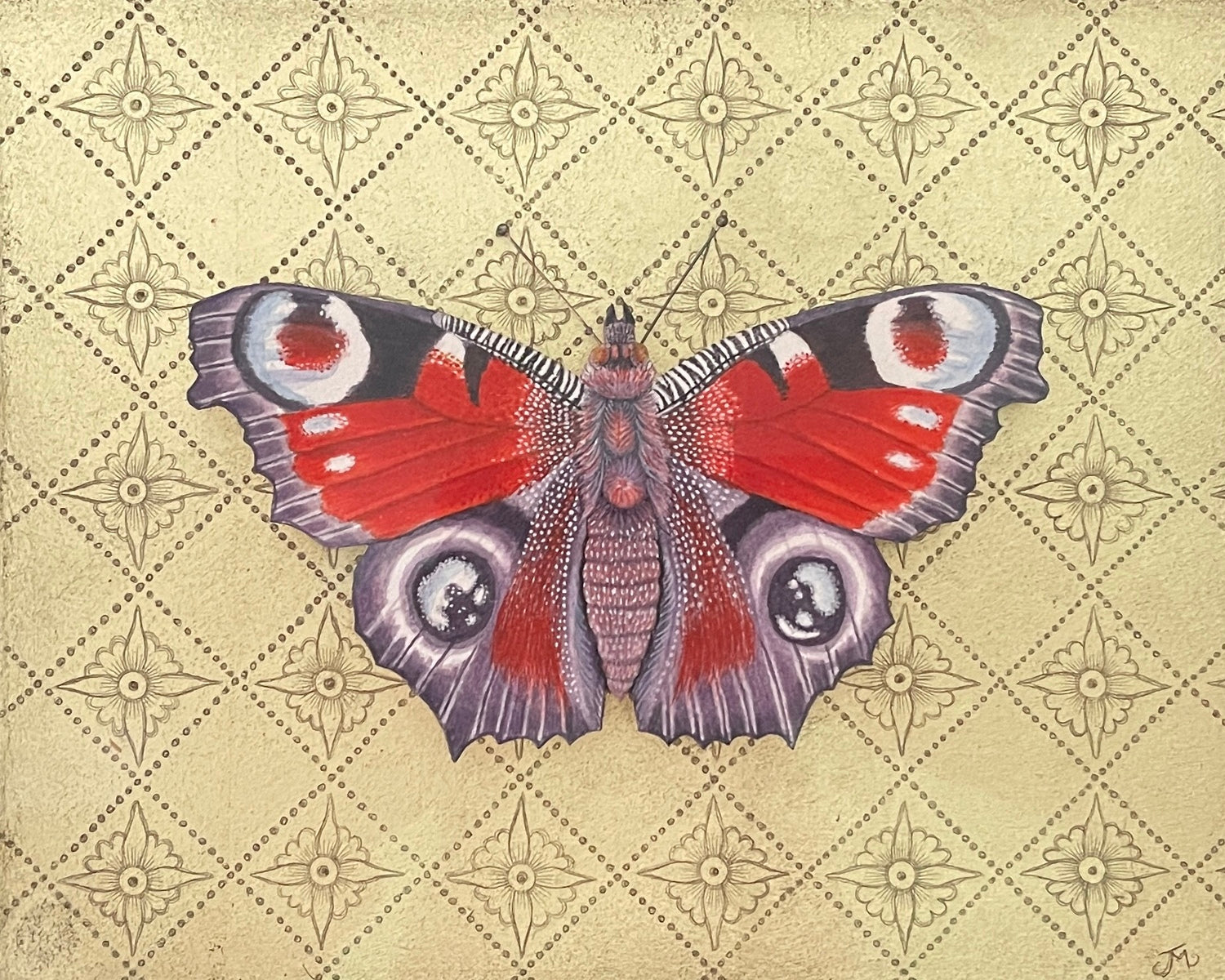 Peacock Butterfly