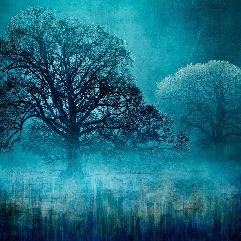 MMP 127 - N50.9753 E0.1138