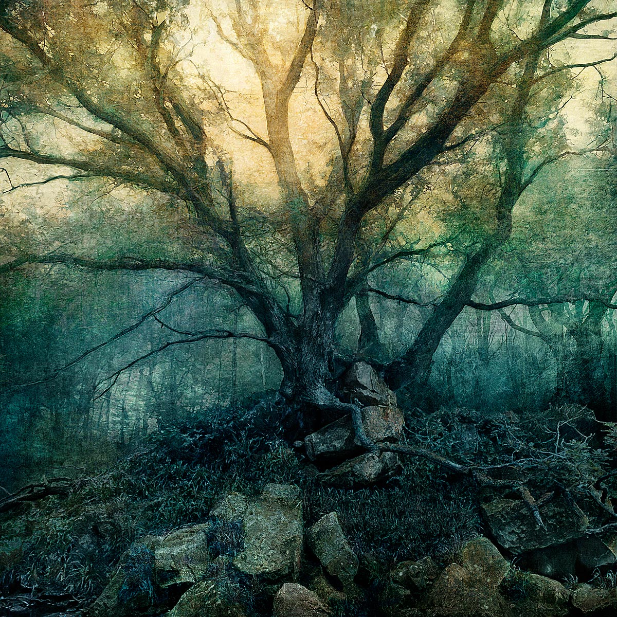 MMP 180 - N54.3930 W0.7421