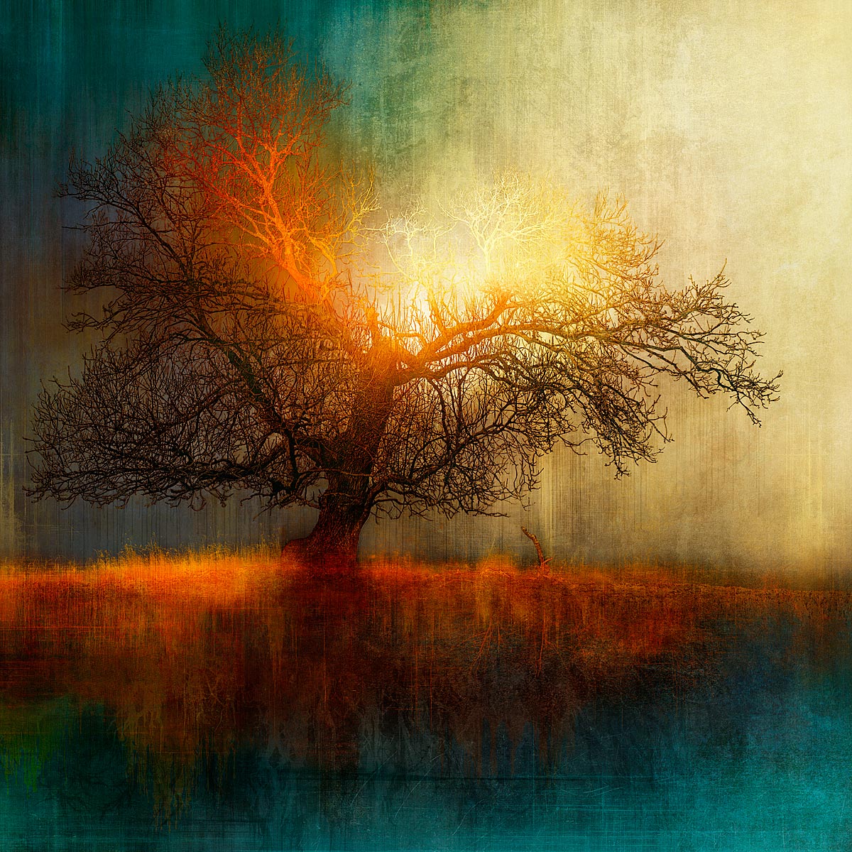 MMP 182 - N51.8477 W0.2837