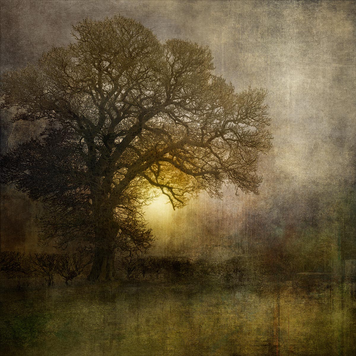 MMP 183 - N51.8463 W0.2859