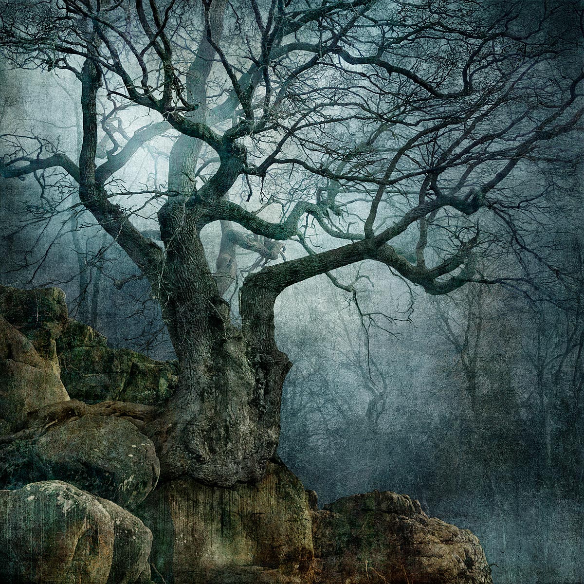 MMP 194 - N51.0975 E0.1865