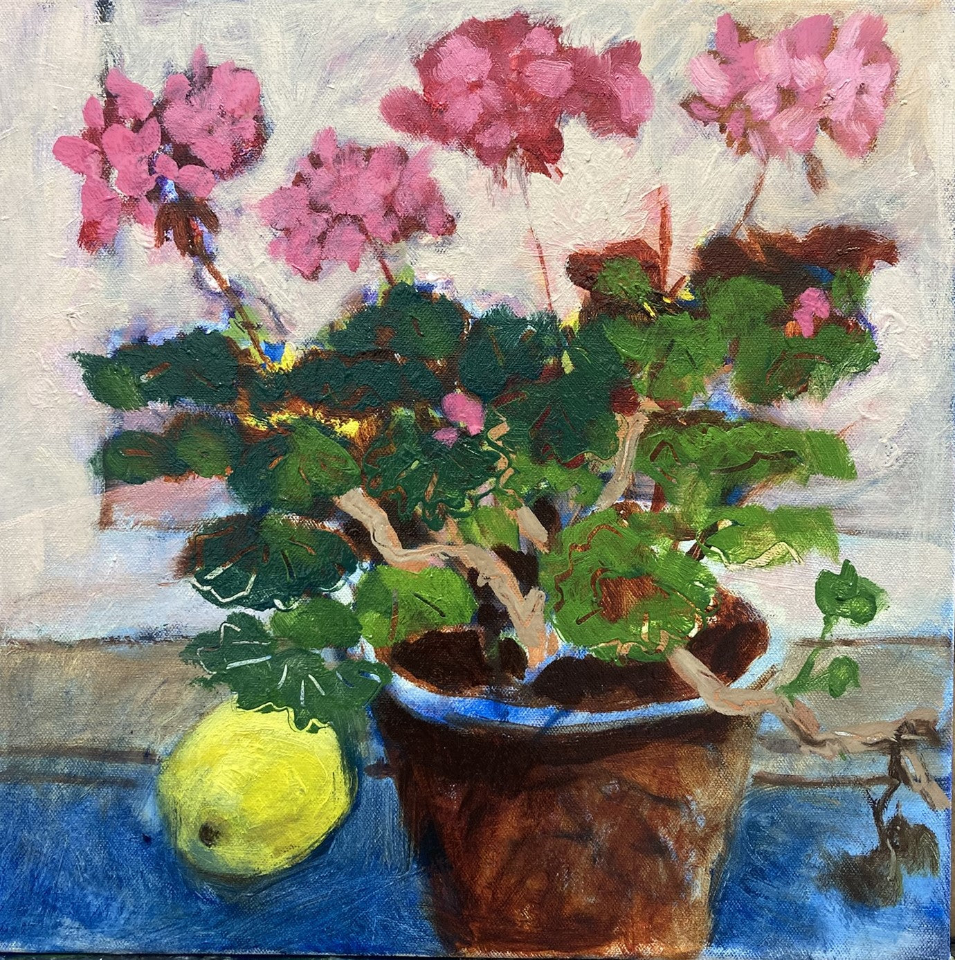 Pink Geranium
