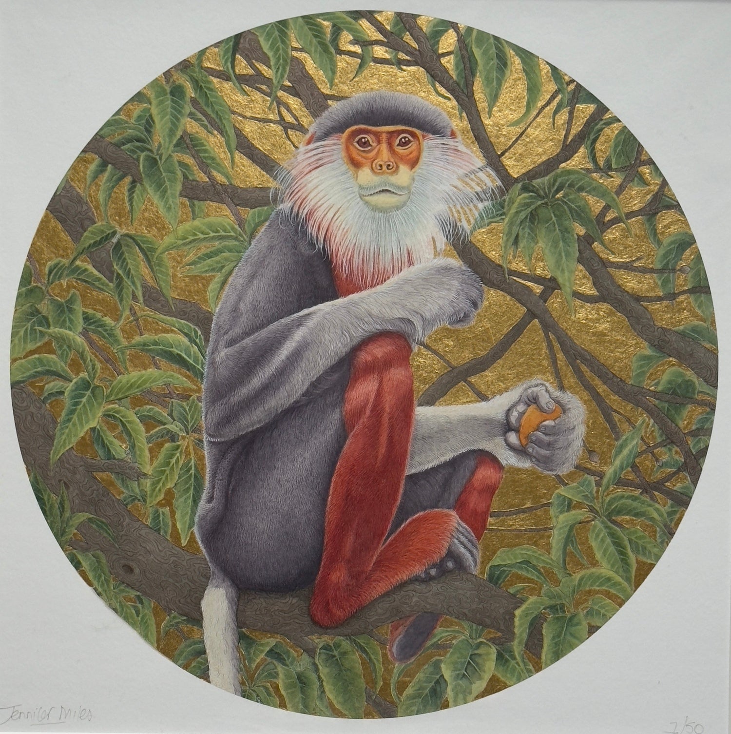 Red Shanked Doug 1/50