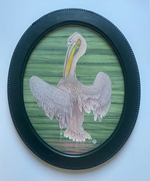 Rosy Pelican