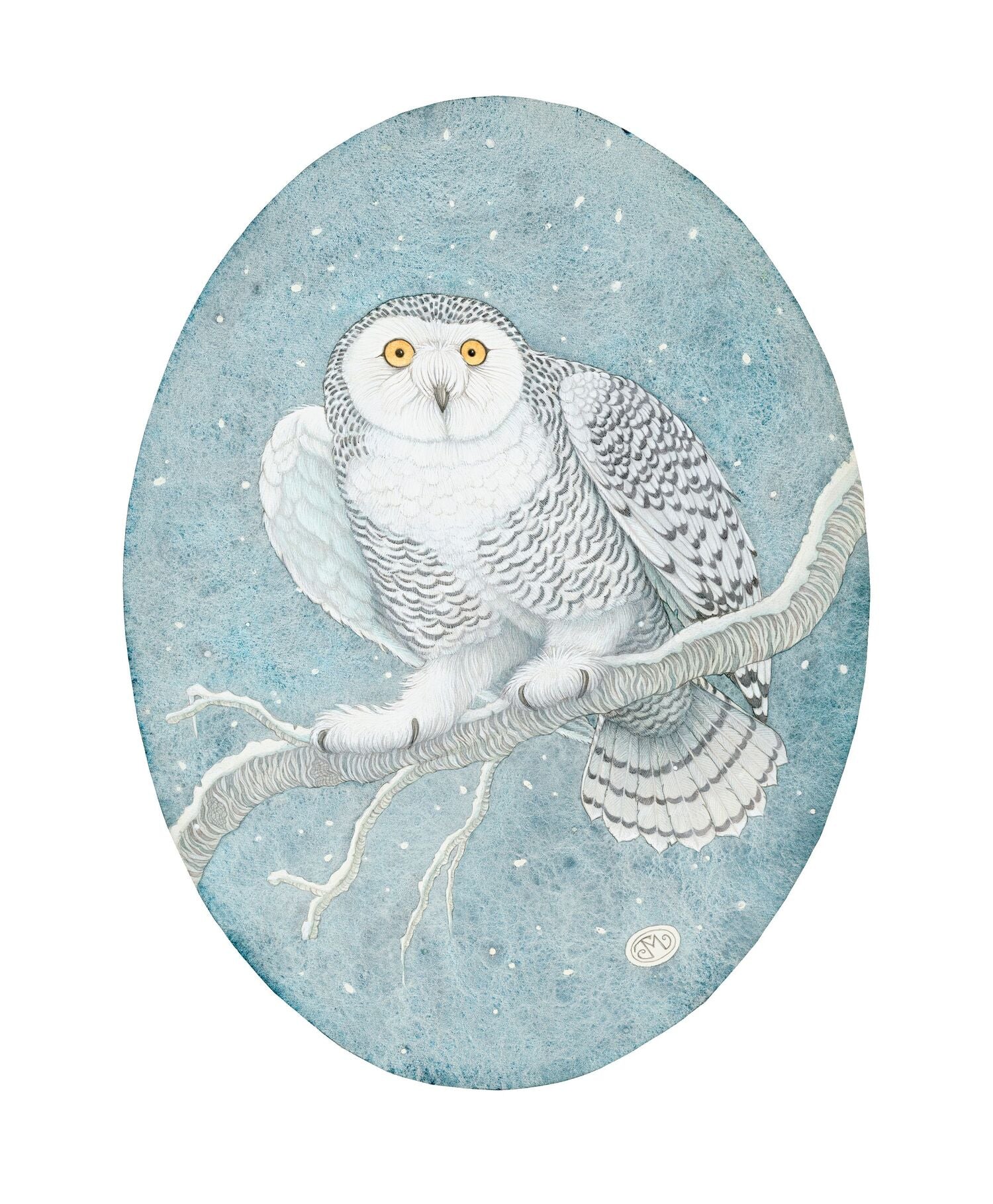 Snowy Owl