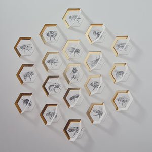 The Hive Part One