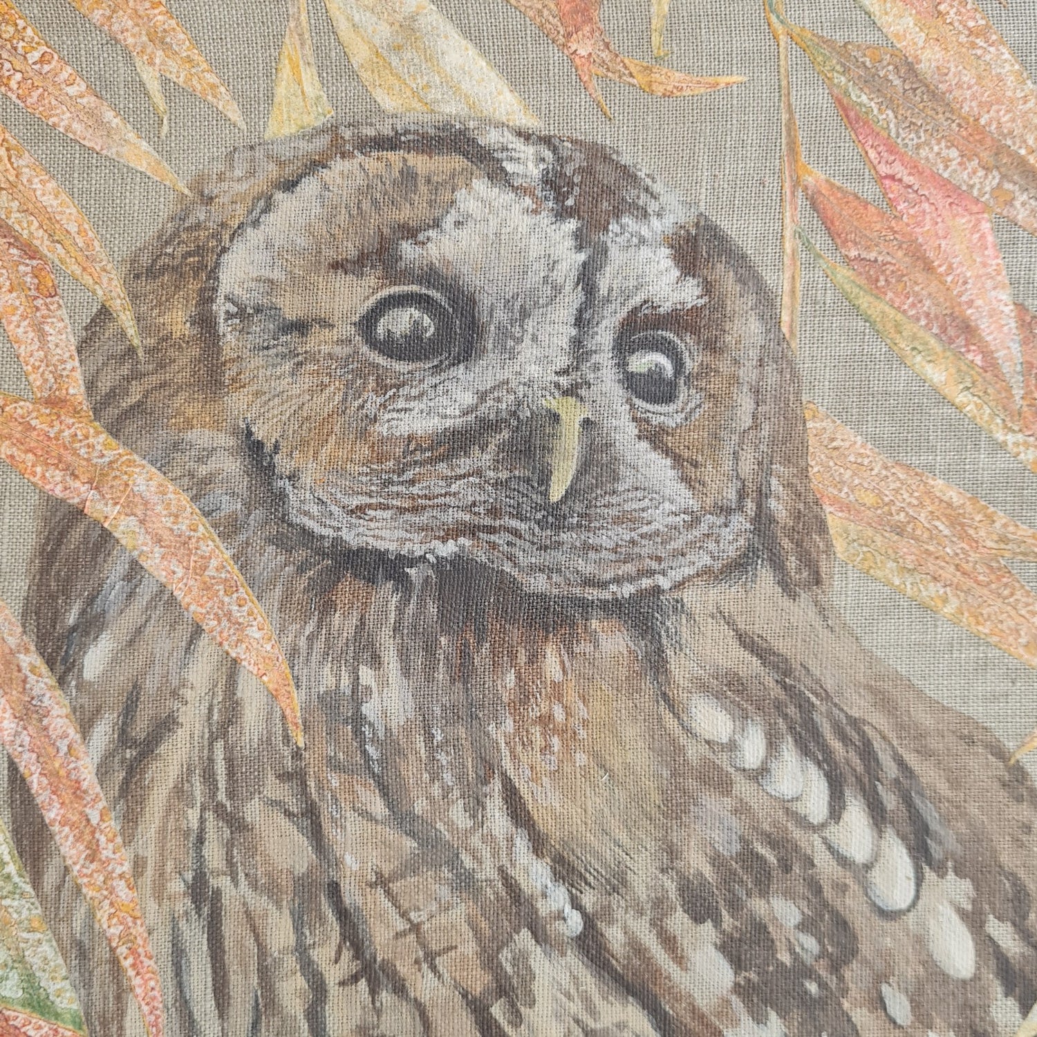 Tawny Owl Study