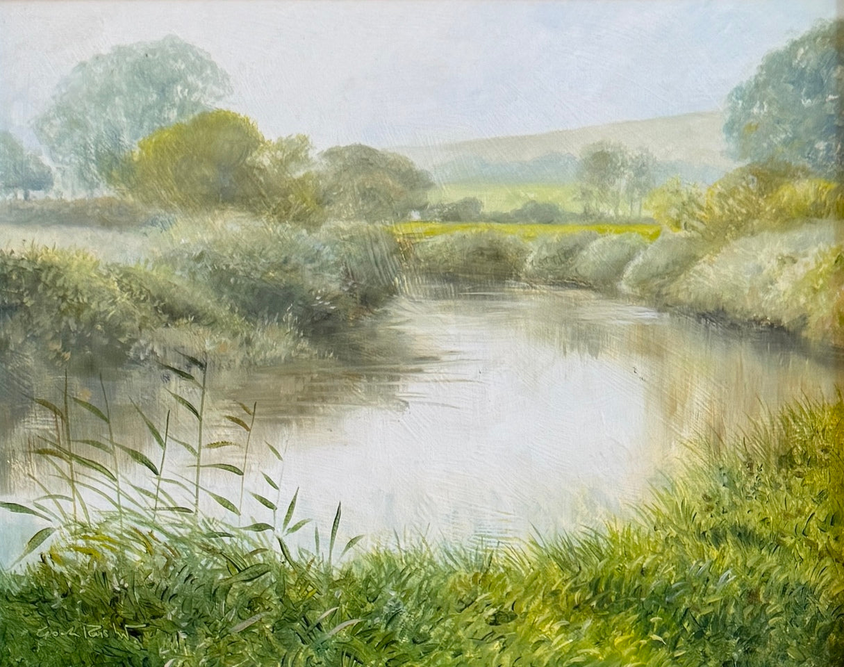 The River Arun at Bury