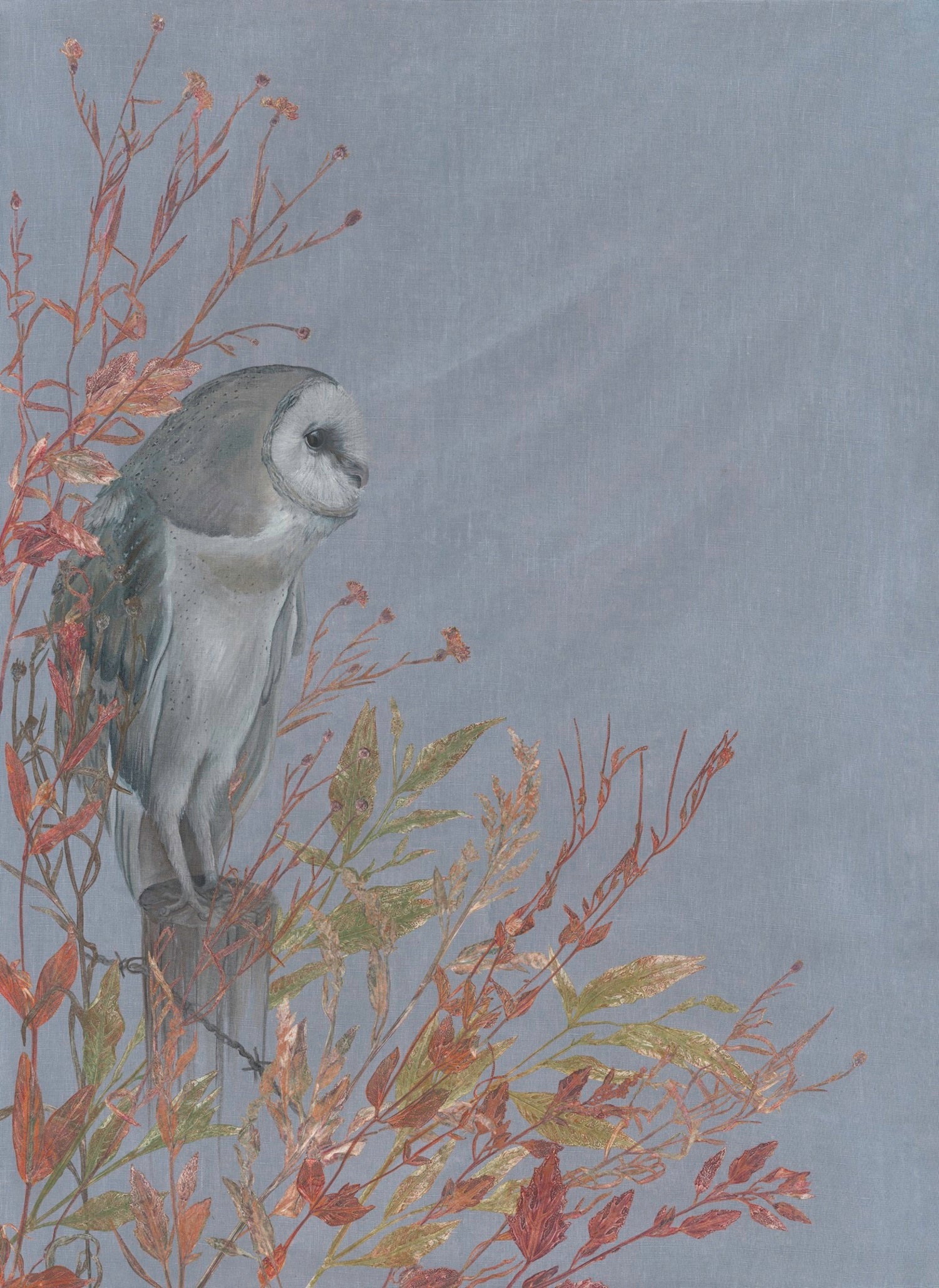 Watching from the Meadow's Edge