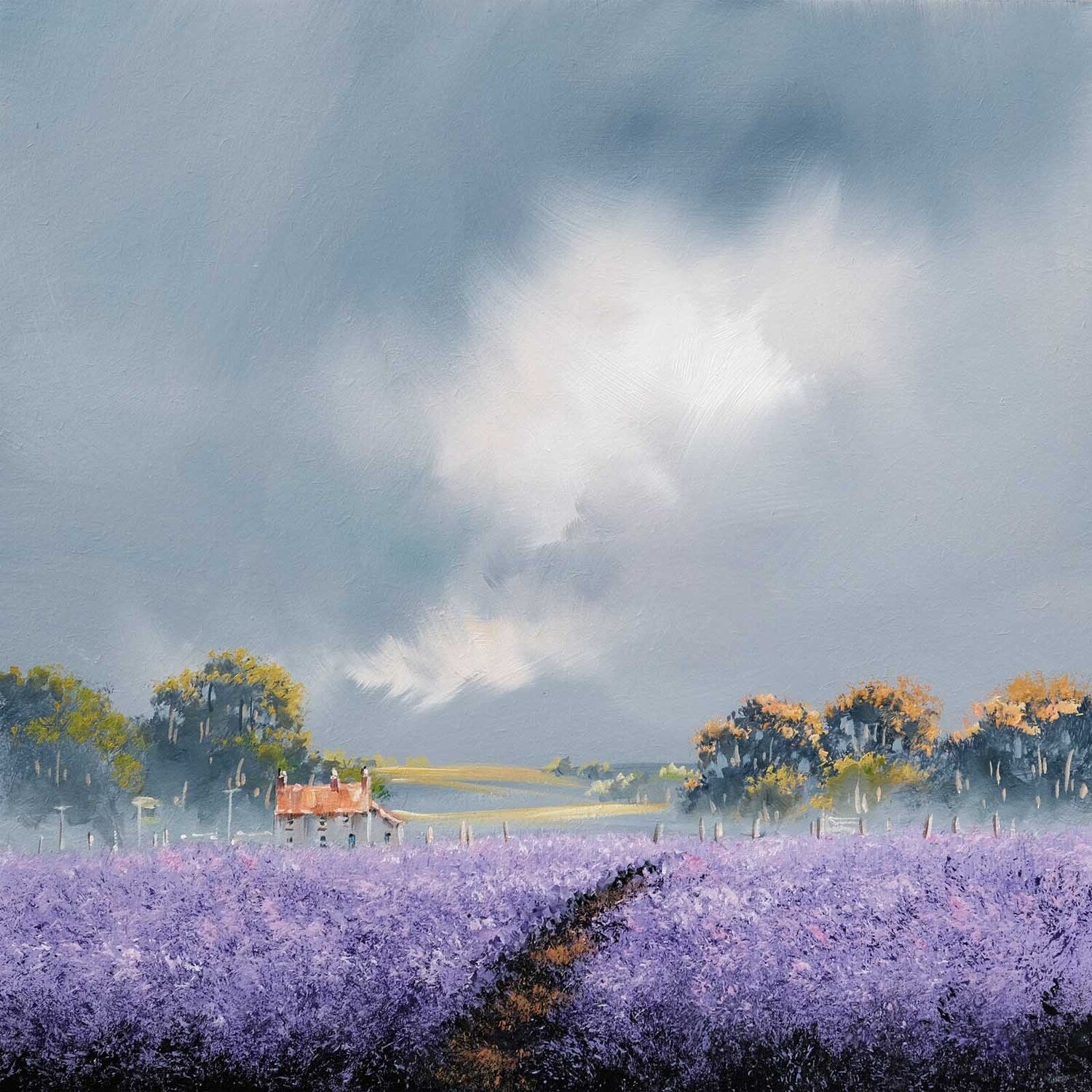 Castle Farm Lavender