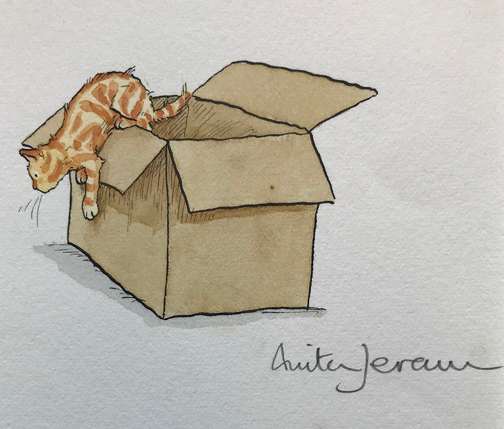 Cat Curiosity ?  - Bored !