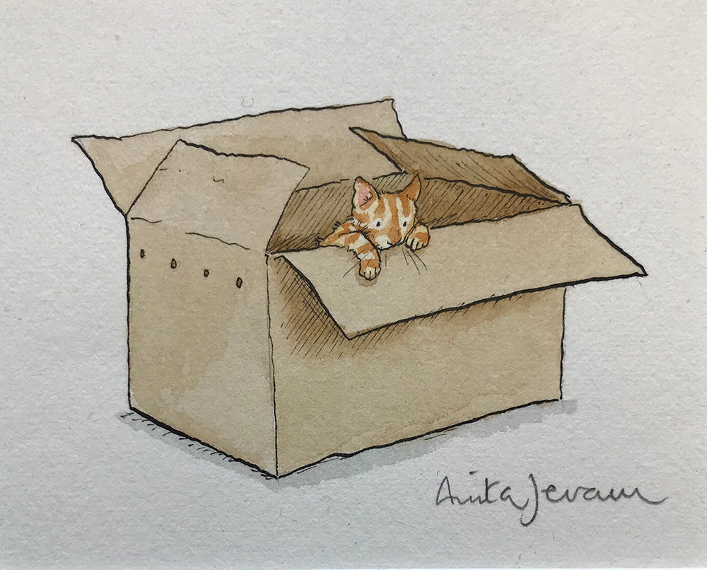 Cat Curiosity Satisfied