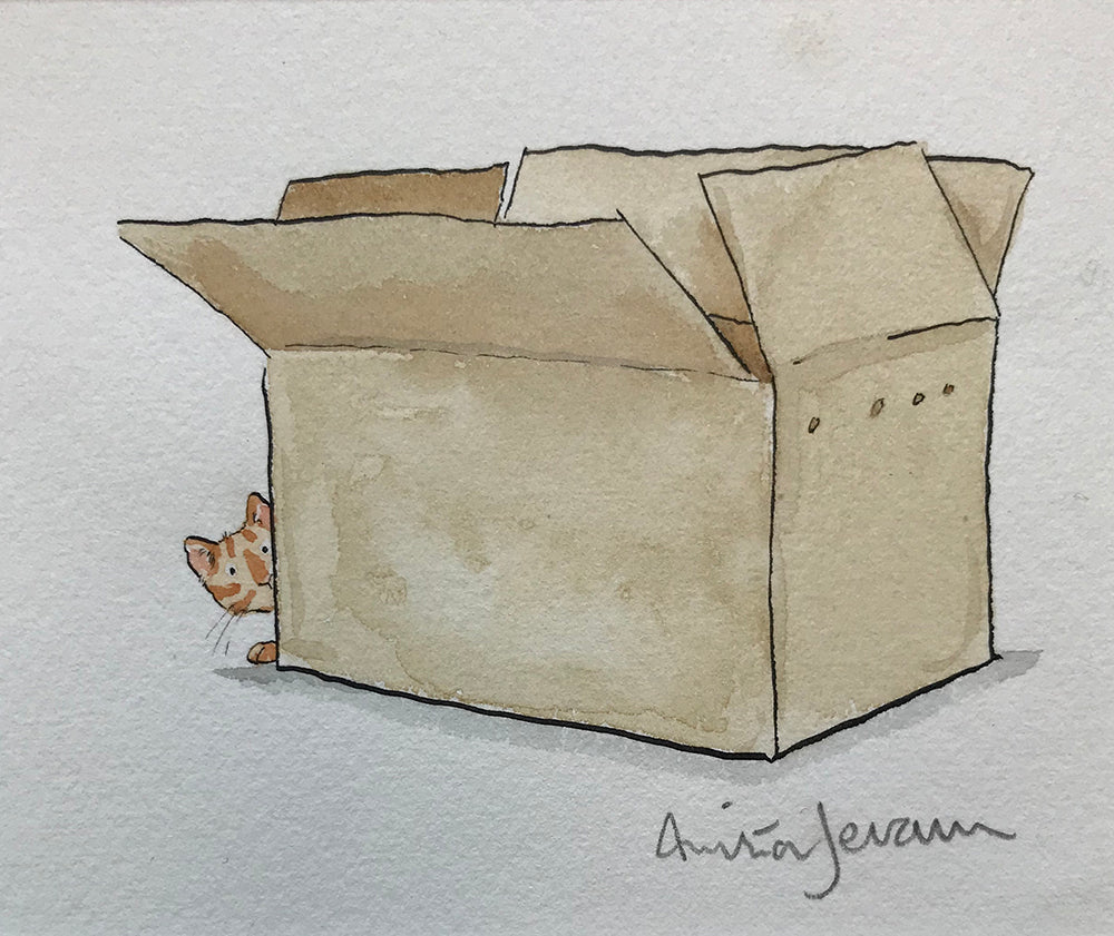 Cat Curiosity