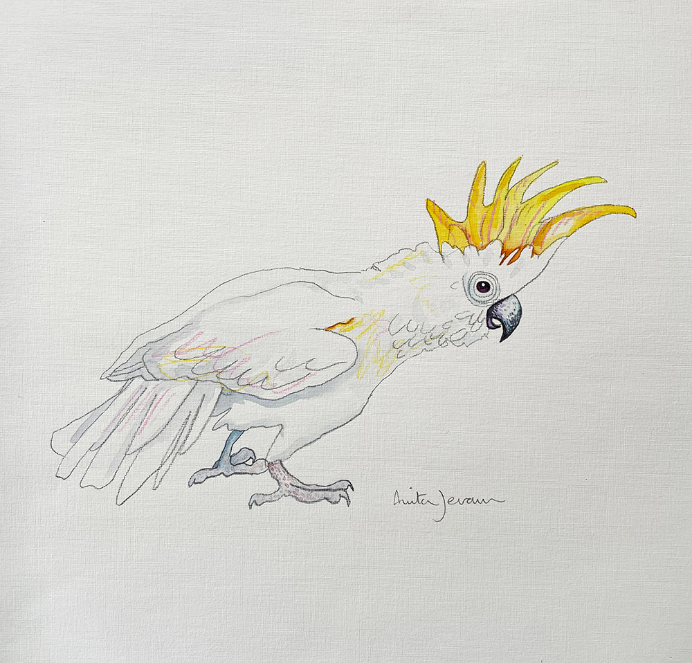 Shake A Tail Feather