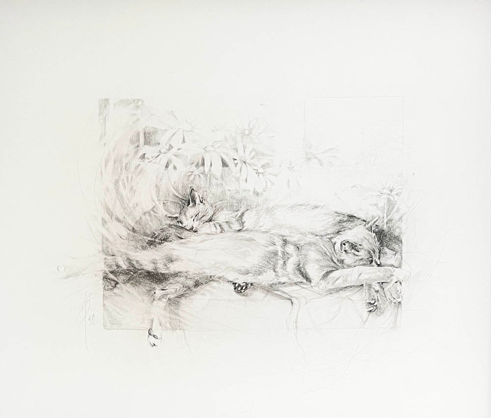 Top To Tail In Summer Sun