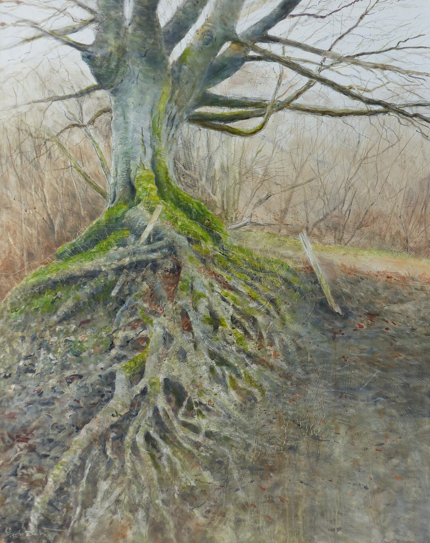 Beech Roots, Didling, West Sussex