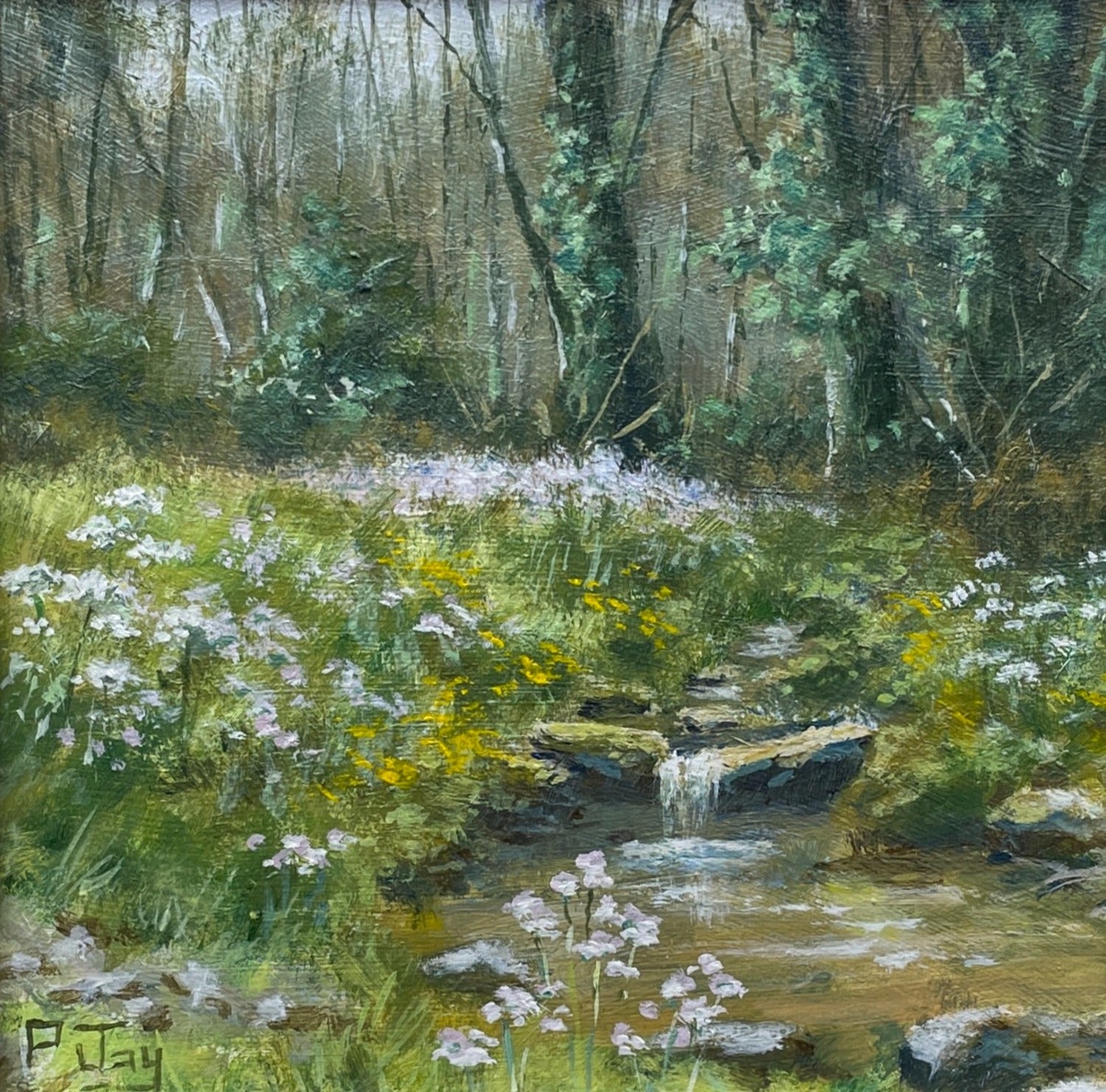 A Stream in May