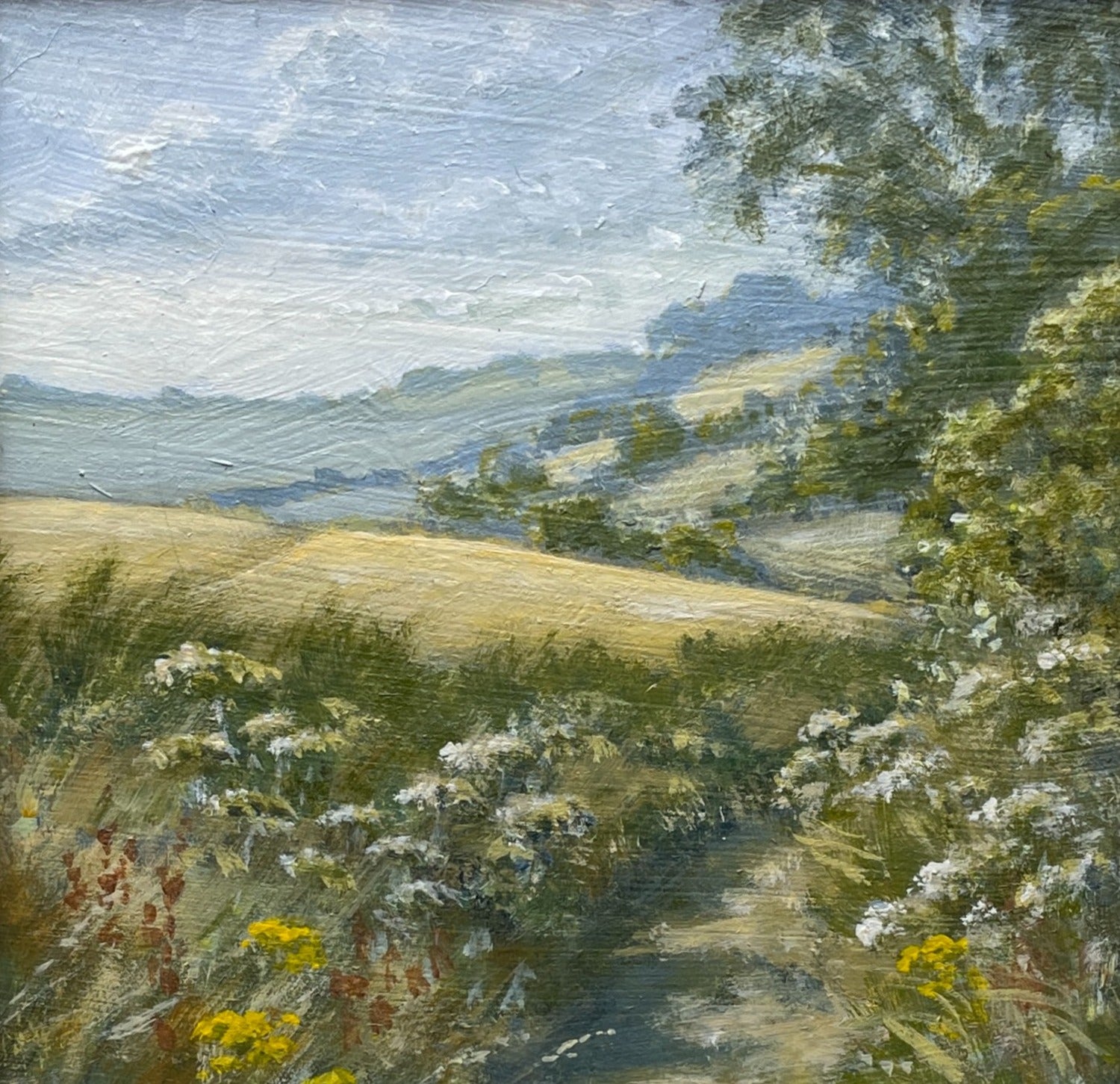 Harvest Fields
