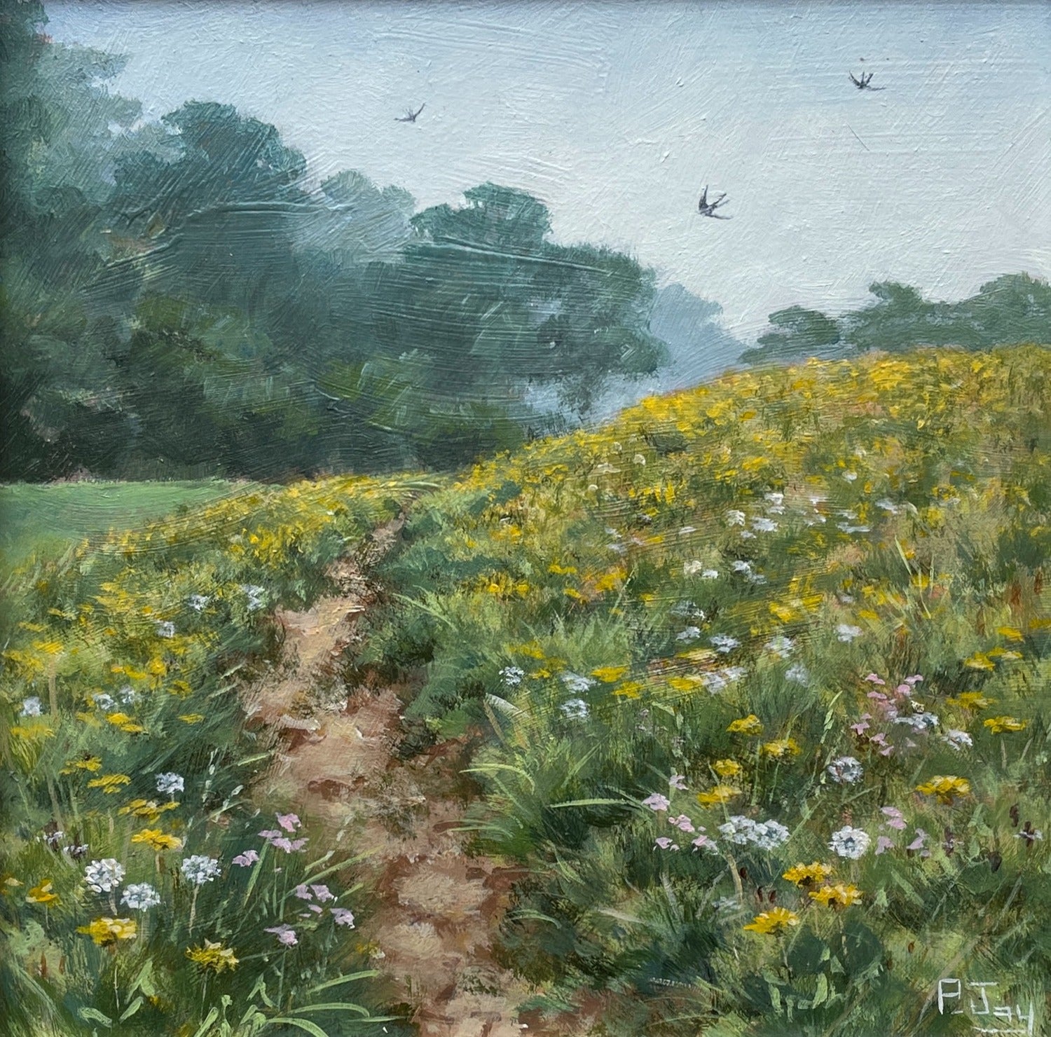 Path through the Dandelions