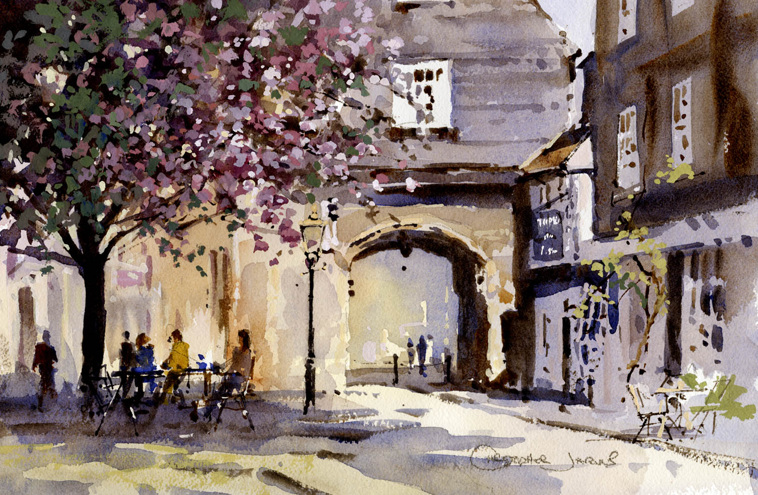 Blossom at Northgate