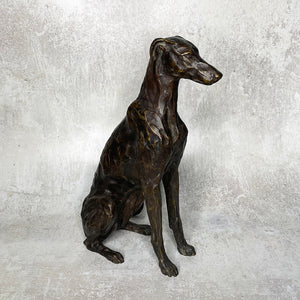 Sitting Greyhound Lurcher