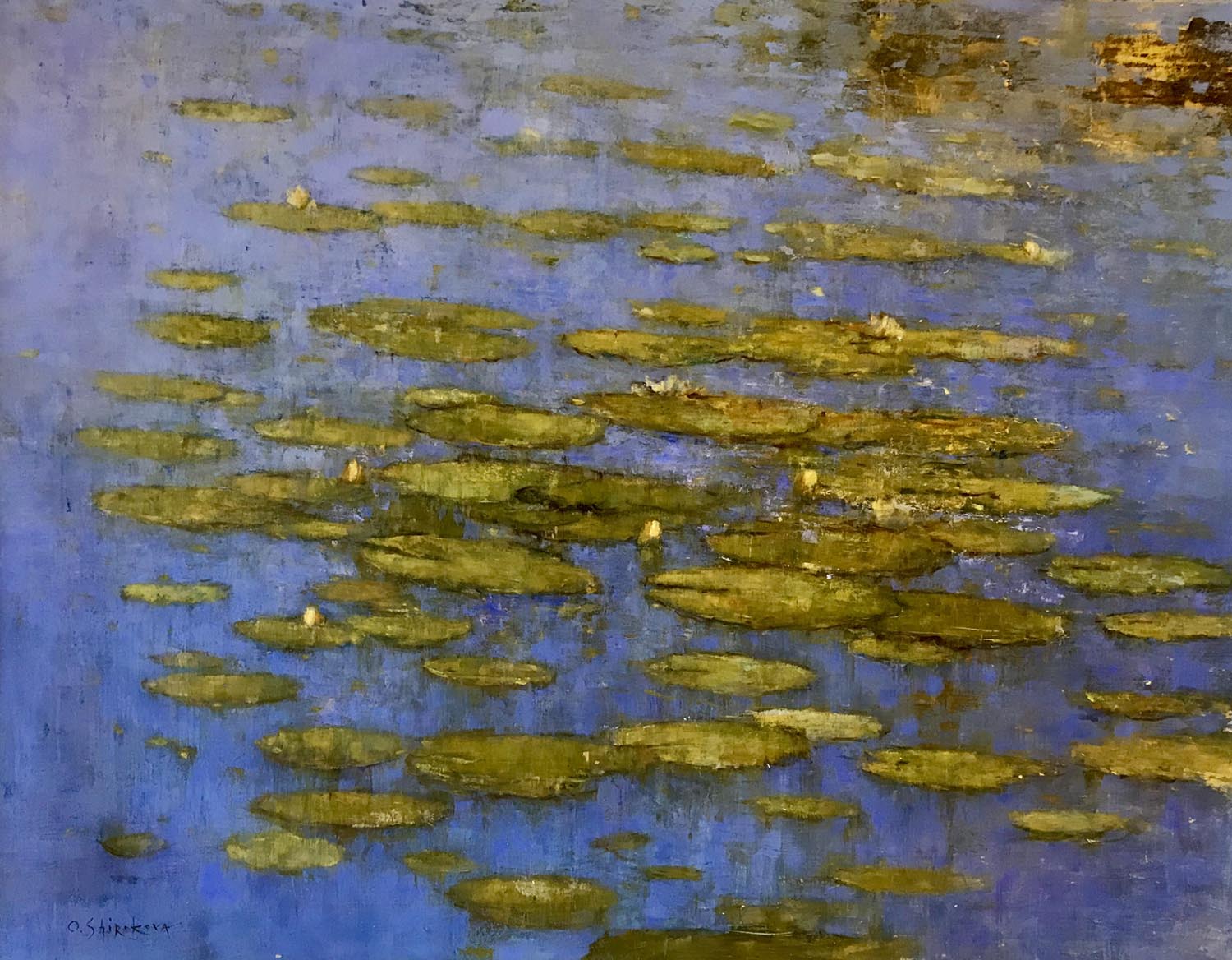 Waterlillies on Blue