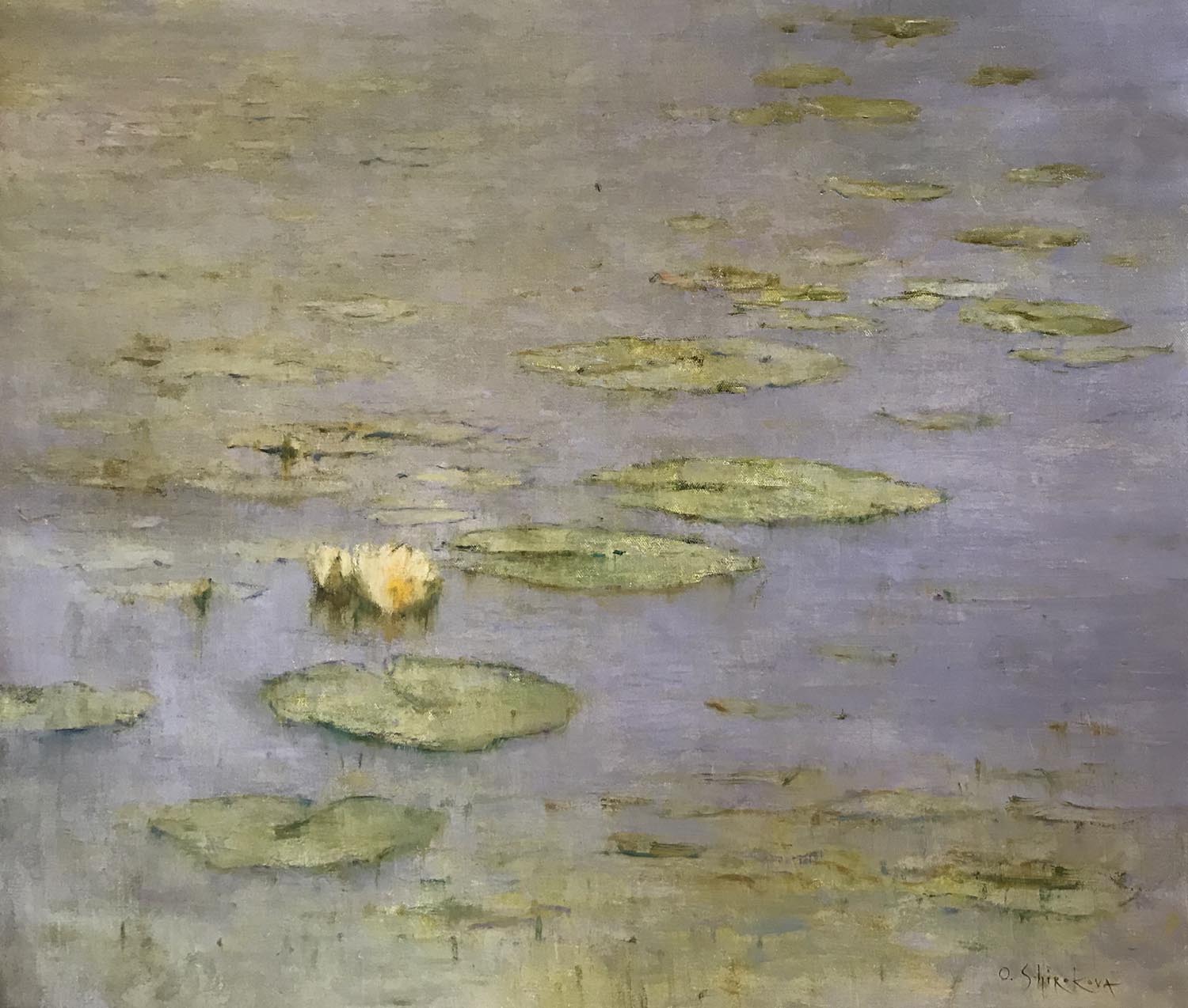 Waterlillies at Dawn