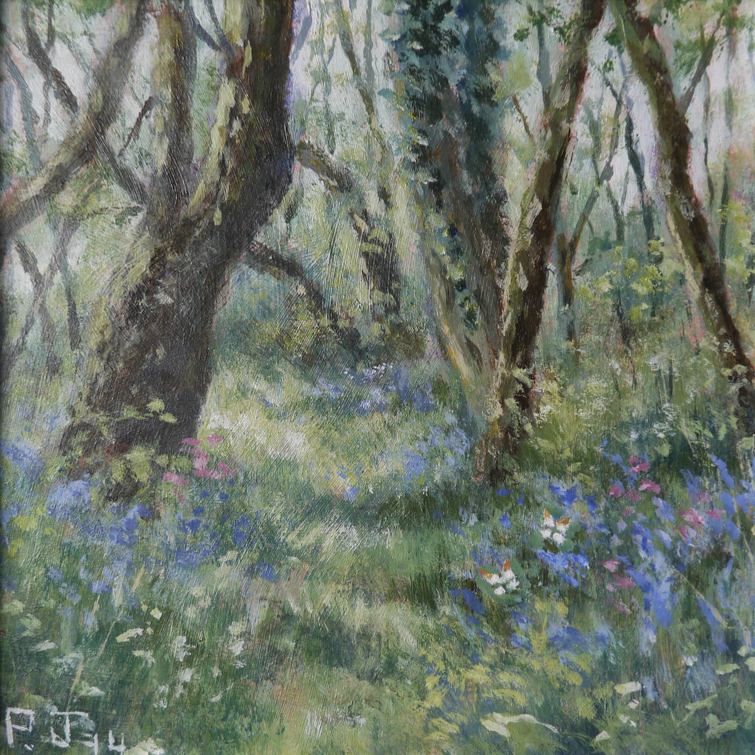 Bluebell Path