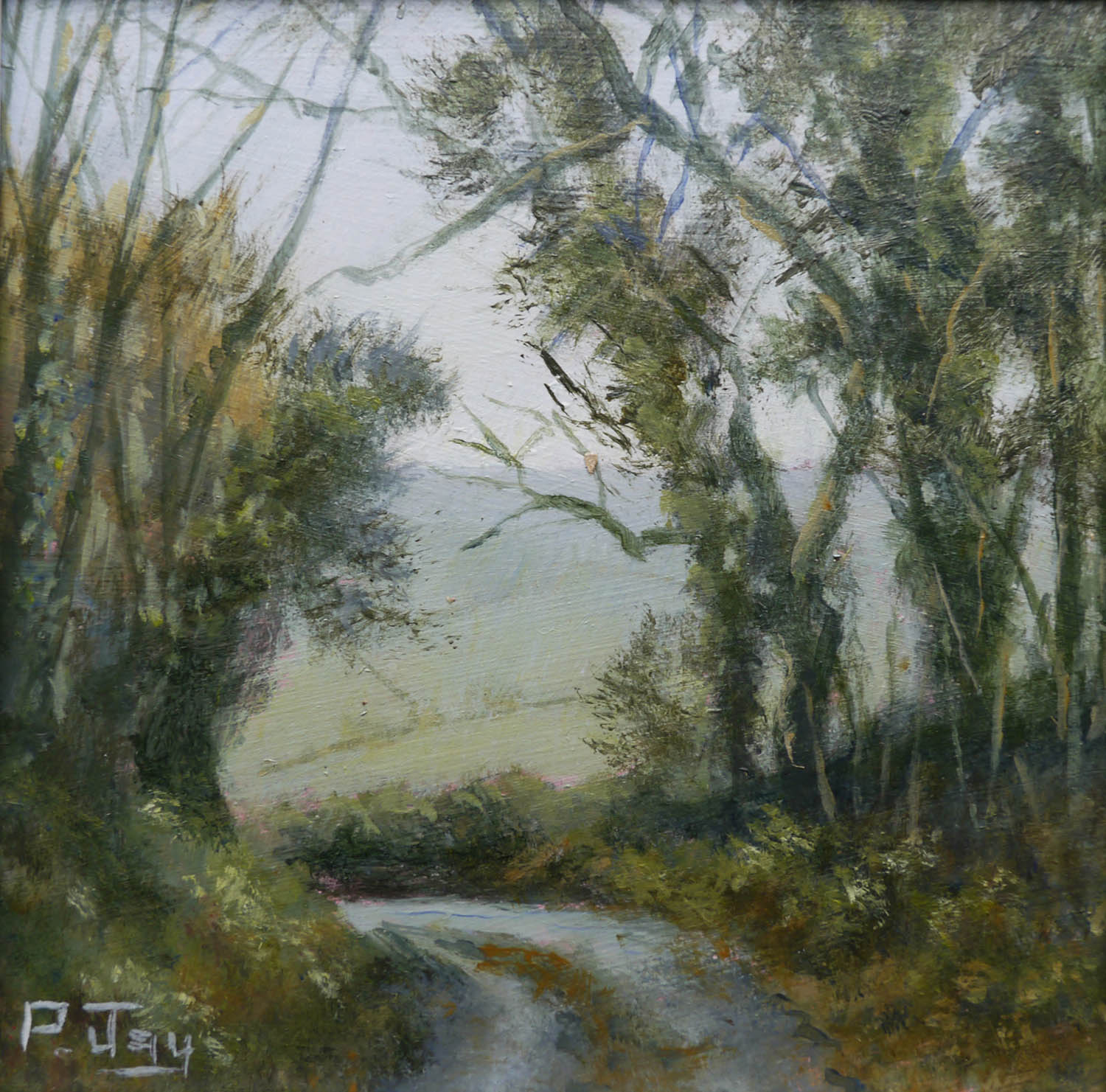 Down from Small Down