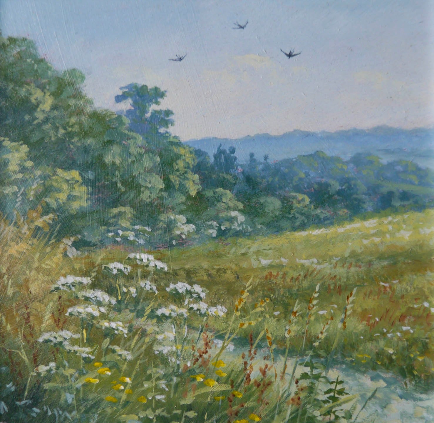 Track on Ashdown Forest