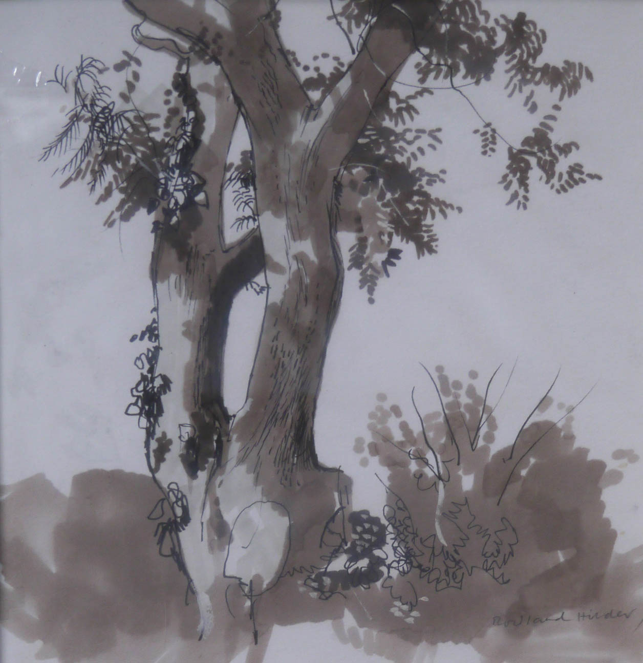 Garden tree sketch (Unframed)